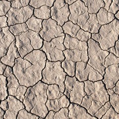 Bønner Fra En Sprukken Sjel