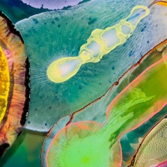 Onda Encantada #005 Caminante del Cielo [Pulmahue]