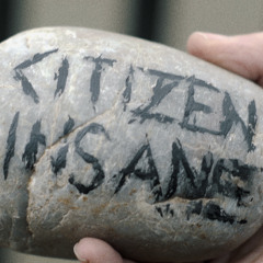 Citizen Insane