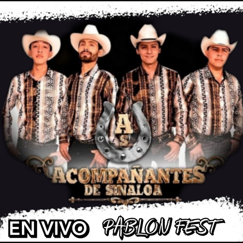 Stream Se Fue La Pantera En Vivo By Acompañantes De Sinaloa Listen