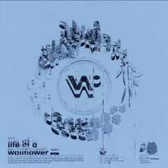 Be Like You - wethan(ft.Broods){KUMERA POSSESION}