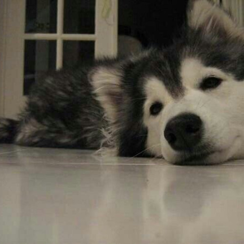 pay attention [deleted verse]