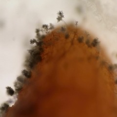 Friday Night Lights In The Sky