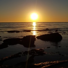 ocean song