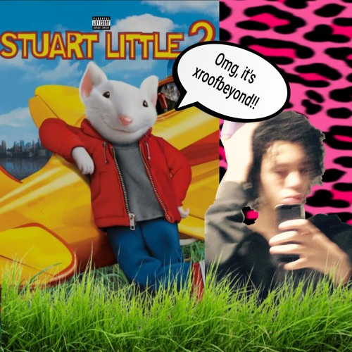 WASSUP