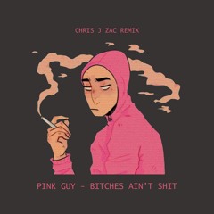 Pink Guy_Bitches Ain't Shit (Chris J Zac Remix)
