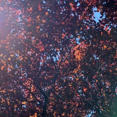 are you getting this?