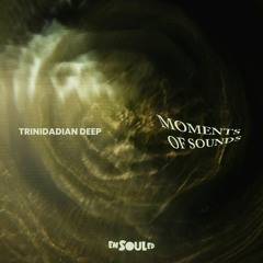 PREMIERE : Trinidadian Deep - Movements Of Sounds (Original Mix)