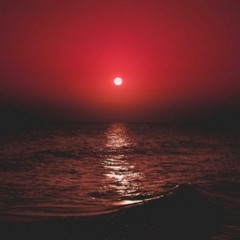 SummerTime Shine
