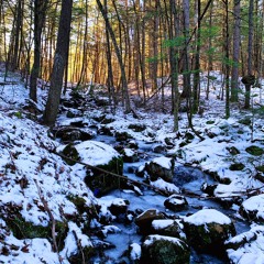 Someone Else's Story