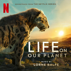 The Power Of The Planet