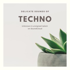 Delicate Sounds Of Techno
