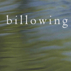 billowing (naviarhaiku581)