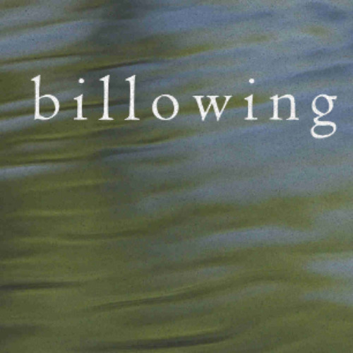 billowing (naviarhaiku581)