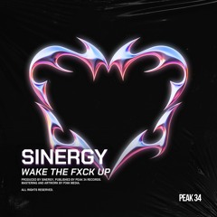 Sinergy - WAKE THE FXCK UP [PEAK34FREEDL]