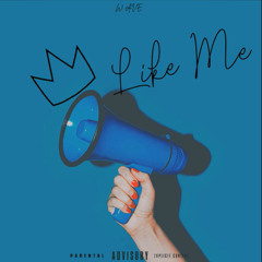 Like Me ft. Txmmx