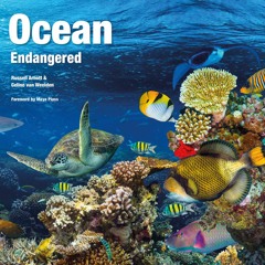 #eBook Ocean: Endangered (Abandoned Places) by Russell Arnott Ocean: Endangered (Abandoned Places)