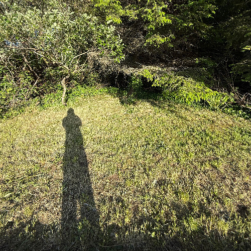 shadow