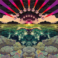 Elevation