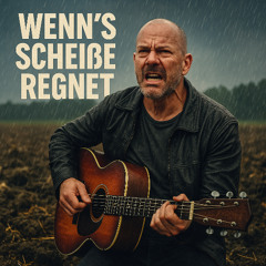 wenn´s Scheiße regnet