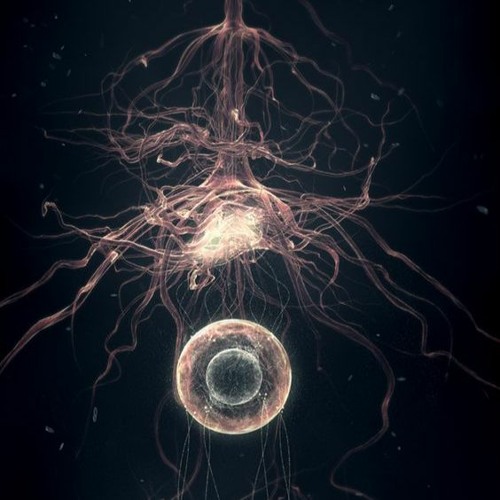 Guevurá - Flow of Energy - 193
