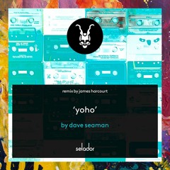 PREMIERE: Dave Seaman — YoHo (Dub Mix) [Selador]