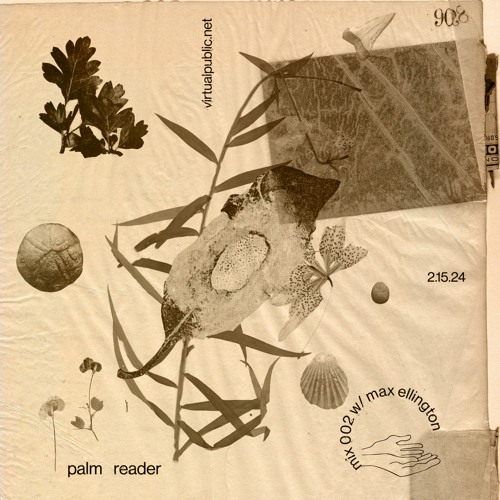 Palm Reader 2: Max Ellington