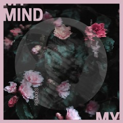 Vyblossom, Ebba Rose - My Mind (Zarkilor Remix)