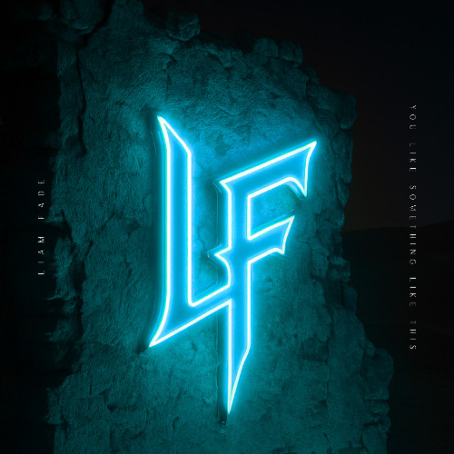 Liam Fade - You Like Something Like This [Official Audio]