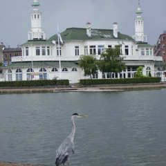 sø eller dø! (feat. Albert rosen)