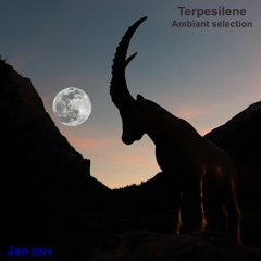 TS Ambiant 2024-1