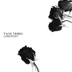 Twin Tribes - Avalon
