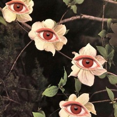 Prosper&Rapture Feat. STZ