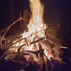 Robert Francis The Magic