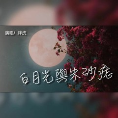 胖虎 - 白月光与朱砂痣 EdMonz Mix 2K21 (Free D/L)
