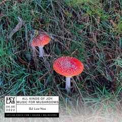 All Kinds Of Joy E16 Music For Mushrooms (for MILK Listens) - Skylab Radio