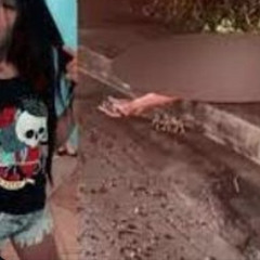 Full *portal do zacarias lenita silva caso lenita portal zacarias portal zacarias lenita