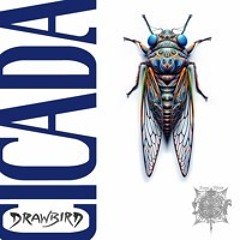 CICADA 10. Hallways [Sage Rites]