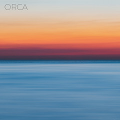 Orca