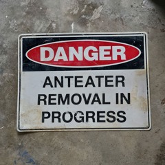 Freedom Of Choice (DEVO cover)