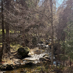 All Star (feat. Bella?)