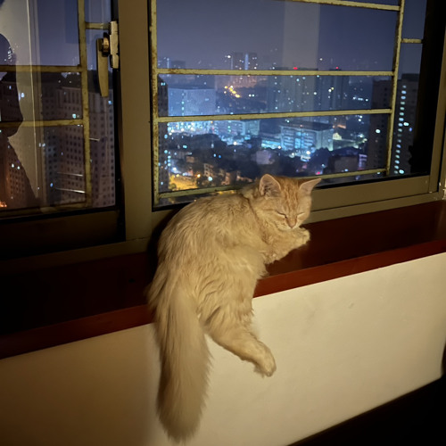 Under-The-Influence-_9D-Audio_.mp3