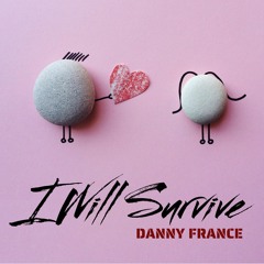 I Will Survive (Danny France Remix)