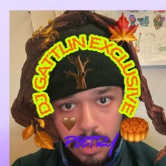 DJ GATTLIN EXCLUSIVE - POETRY /tommy gattlin (typhelicia)