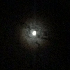 Za Ao Janan | Shail Mehsud