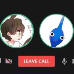 discord call with a pikmin (found footage)