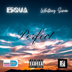 Perfect Feat. Whitney Sinae