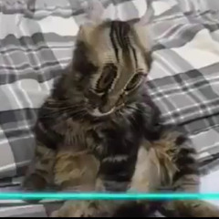 Talk shit ft Cyamond