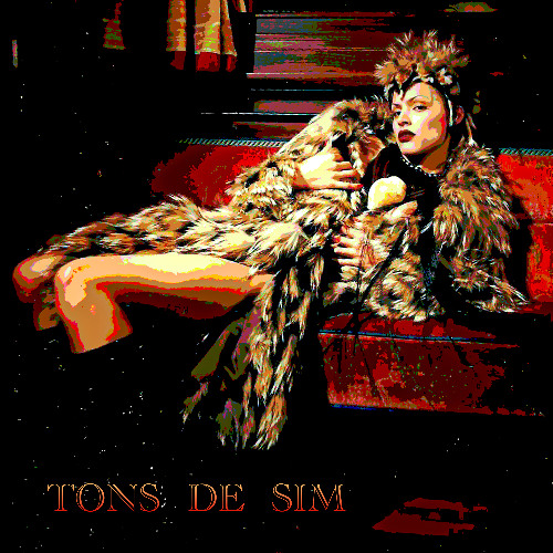 Tons de Sim