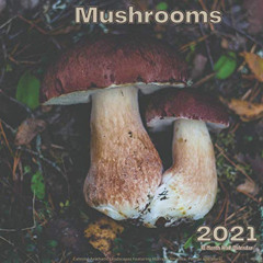 download KINDLE 📑 Mushroom 2021: 12 Month Wall Calendar Calming Aesthetic Landscapes
